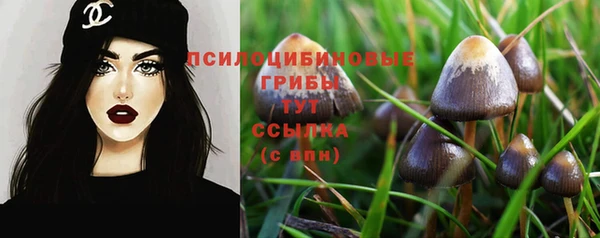 гидропоника Заволжье